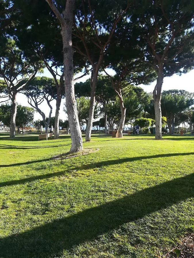 Apartment Bel Appartement 60M2, A 500M De La Plage Falesia Olhos de Agua